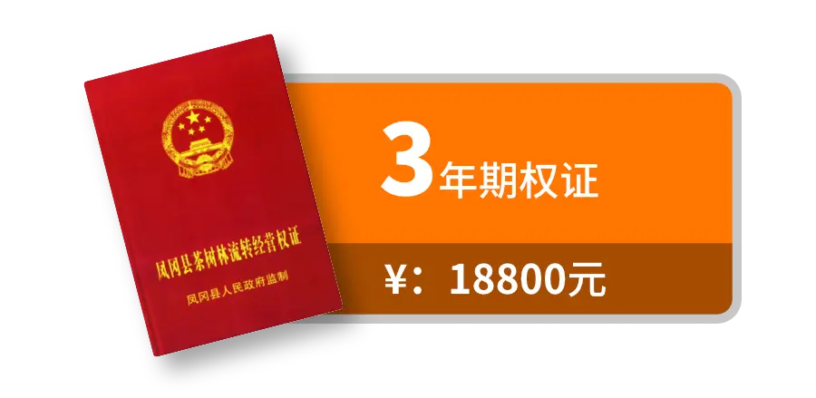 3年期权证图标